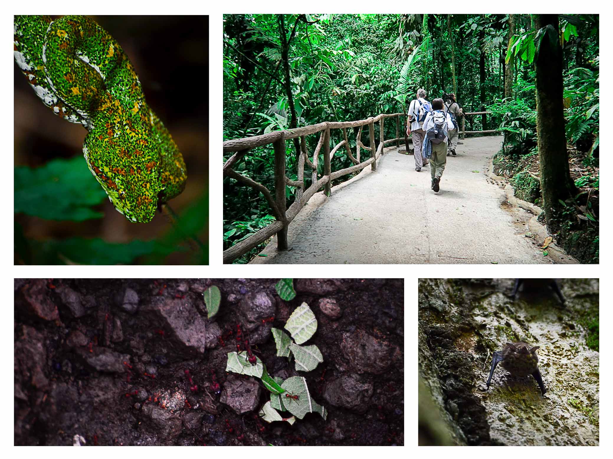 Mayven Costa Rica Top Itinerary 2 weeks las gemelas waterfalls cloud forest