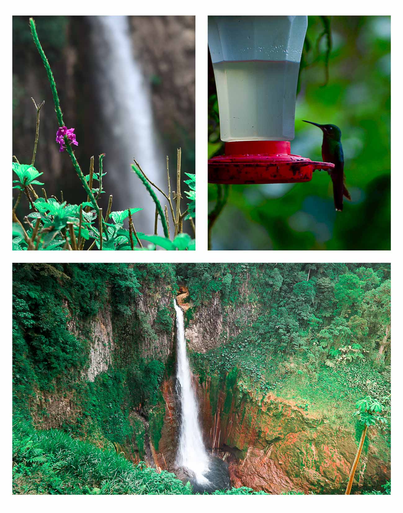 Mayven Costa Rica Top Itinerary 2 weeks catarata del Toro cloud forest