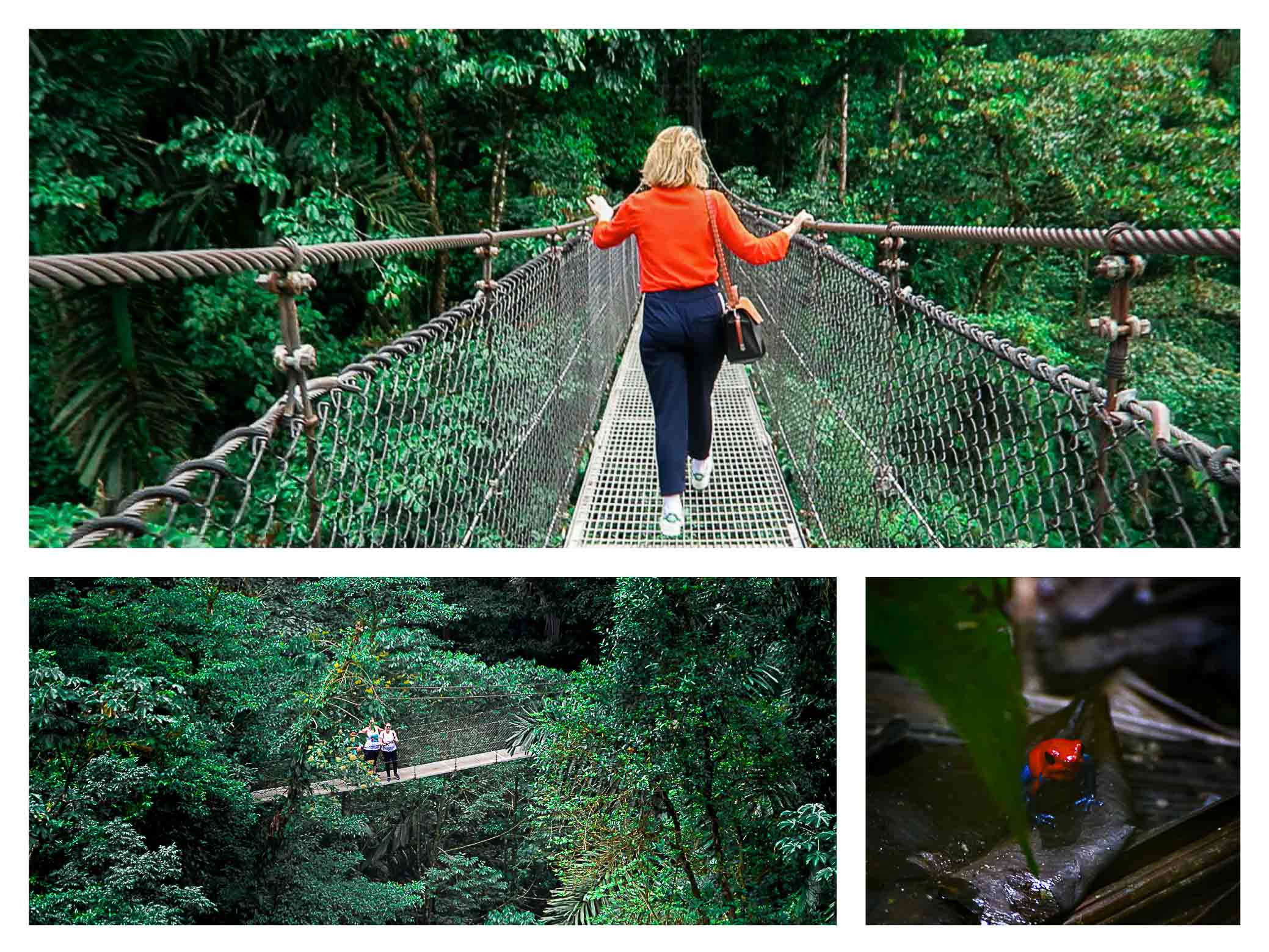 Mayven Costa Rica Top Itinerary 2 weeks las gemelas waterfalls cloud forest