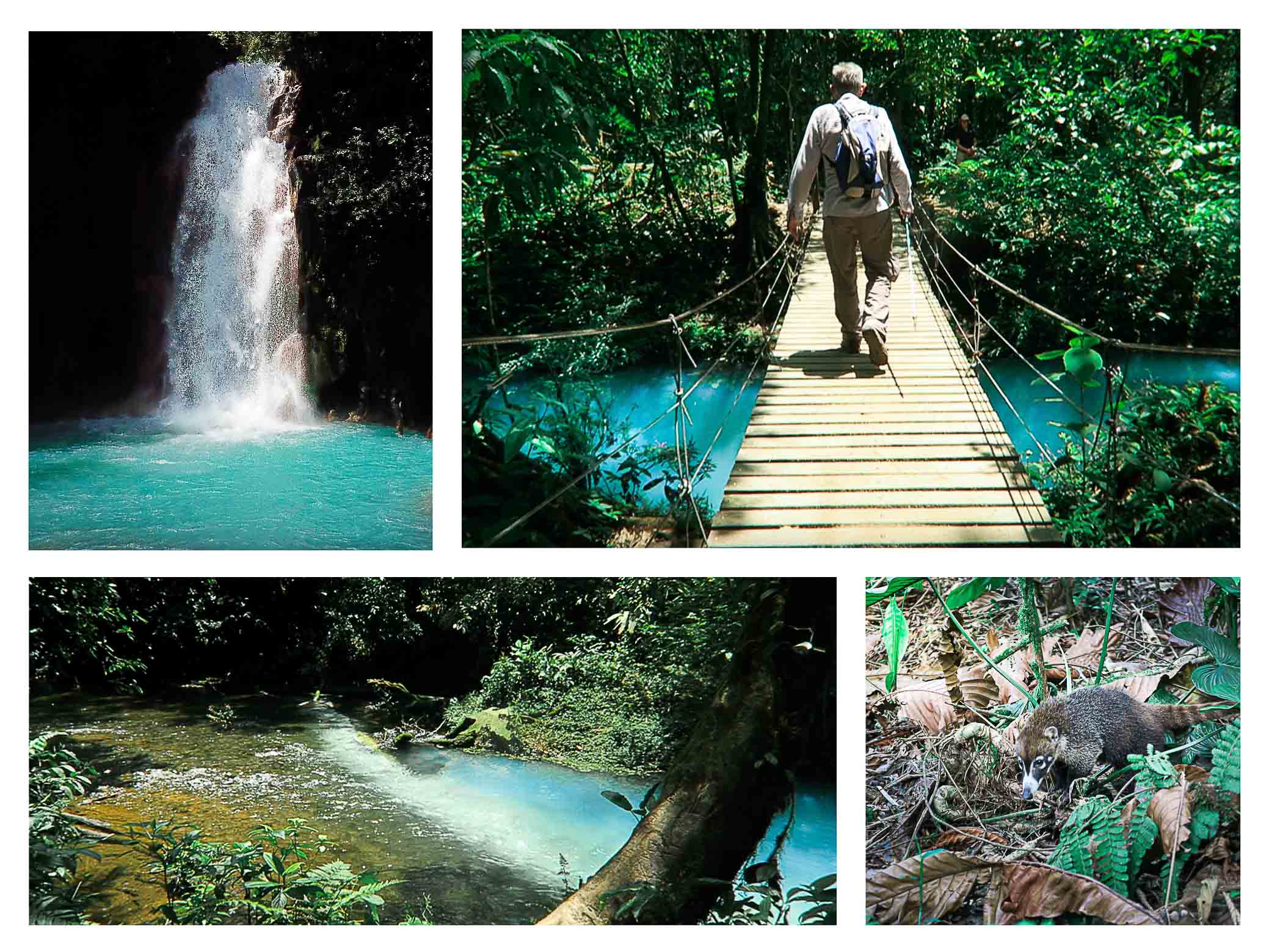 Mayven Costa Rica Top Itinerary 2 weeks las gemelas waterfalls cloud forest